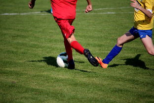 开云平台-世界台球联赛中国队勇夺团体亚军，世界台球联赛中国队勇夺团体亚军是谁