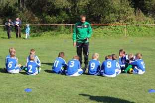 kaiyun sports-中国足球年度战术视频分析内容频次统计，中国足球战术风格